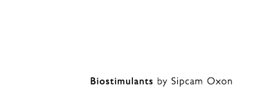 Sofbey